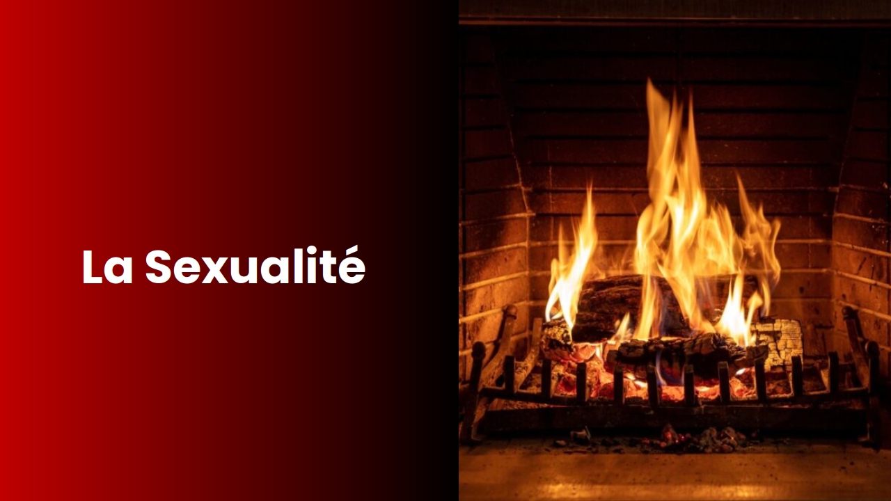 La Sexualité